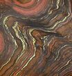 Polished Tiger Iron Stromatolite - ( Billion Years) #63304-1